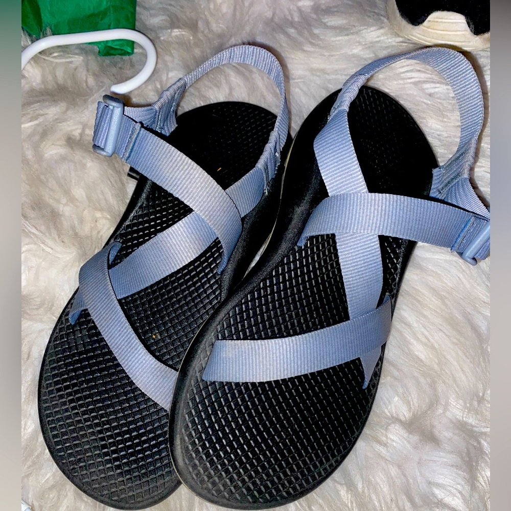 Baby Blue Chacos 🦎